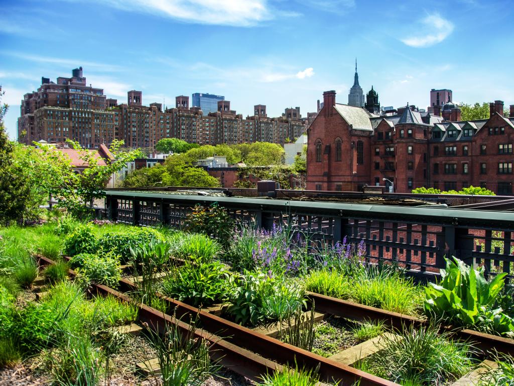 View of the greenery and plants, against the red brick buildings along the High Line urban public park 