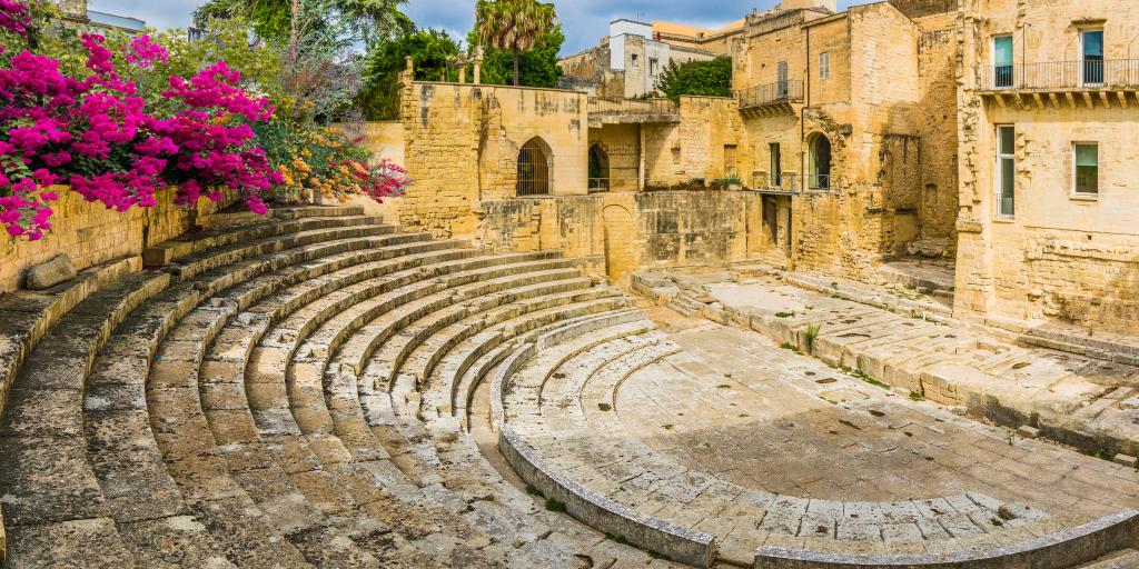 Roman amphitheatre with some purple flowers growing and buildings i the background 