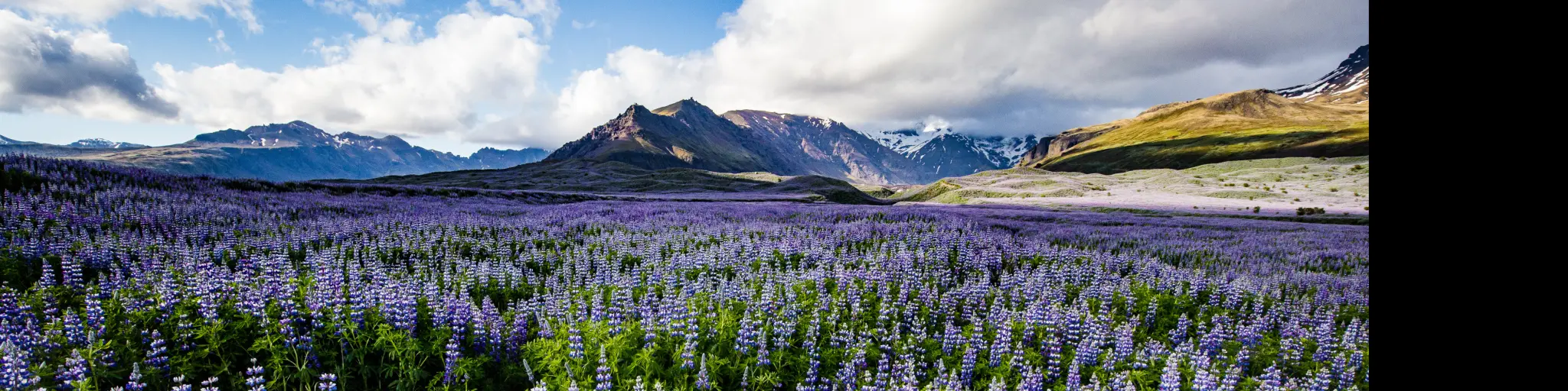 Best time to go to Iceland is June to August when the days are longest