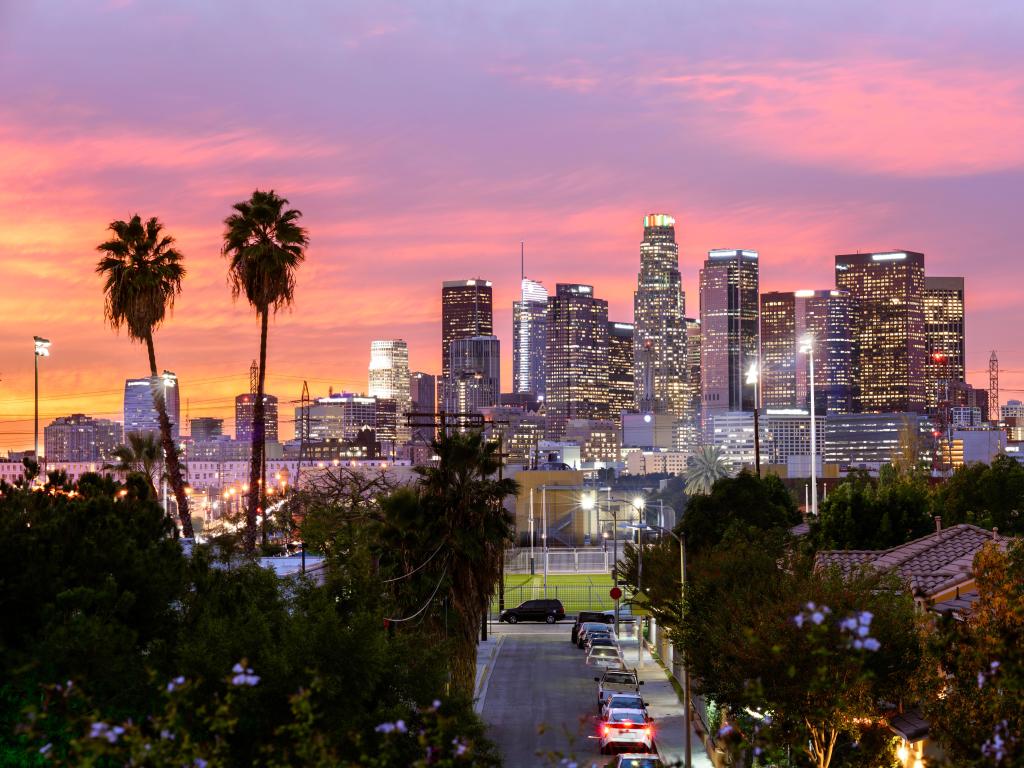 Los Angeles downtown skyline at sunset with palm trees on the left and the city behind.