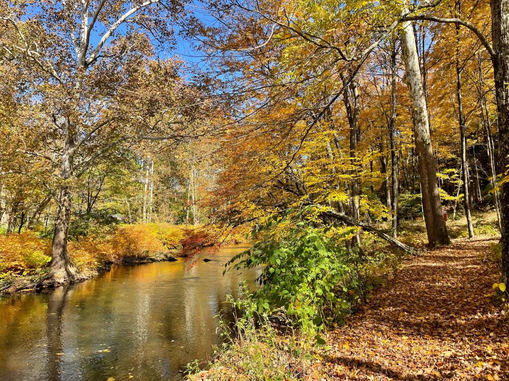 Walkway next to Callicoon Creek with fall foliage views