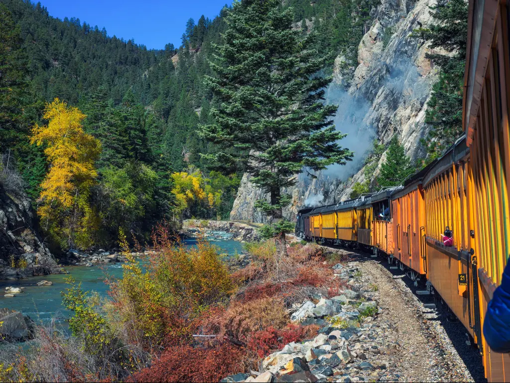 Durango & Silverton Narrow-Gauge Railroad yellow train carriages coming around a corner on a mountain in Colorado