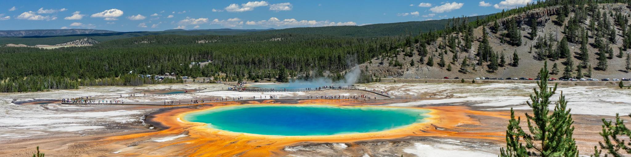Grand Prismatic Spring in Yellowstone National Park, Wyoming, USA taken on a sunny day with trees in the foreground and the rainbow colored water in the middle.