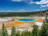 Grand Prismatic Spring in Yellowstone National Park, Wyoming, USA taken on a sunny day with trees in the foreground and the rainbow colored water in the middle.