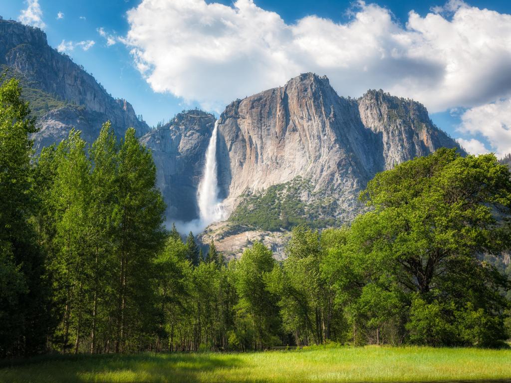 Majestic Upper Falls in Yosemite National Park, California, with lush green trees in the foreground and blue skies