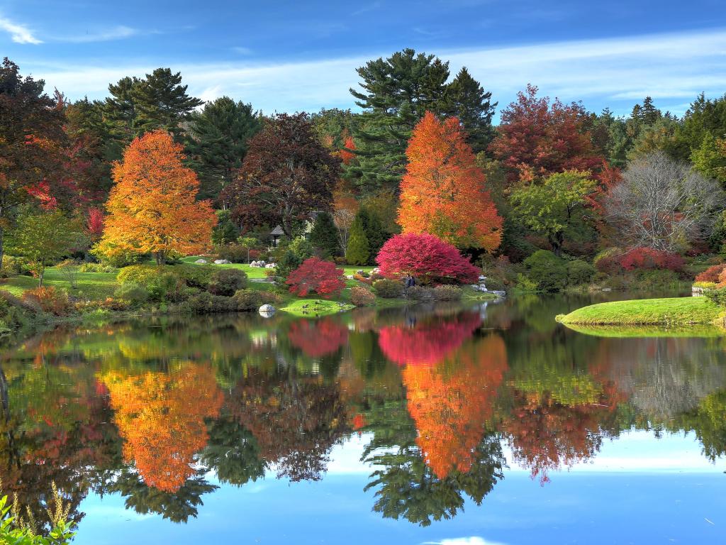 Reflection of fall foliage at Asticou Azalea Garden near Bar Harbor Maine.