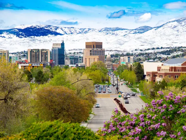 City center with spring flowers in the foreground and snow-capped mountains in the background