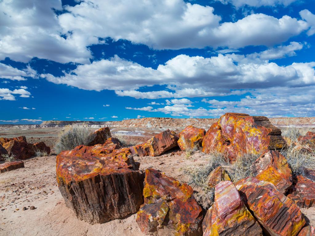 Petrified Forest National Park, Arizona showing petrified wood the foreground on a flat terrain with a cloudy blue sky above.