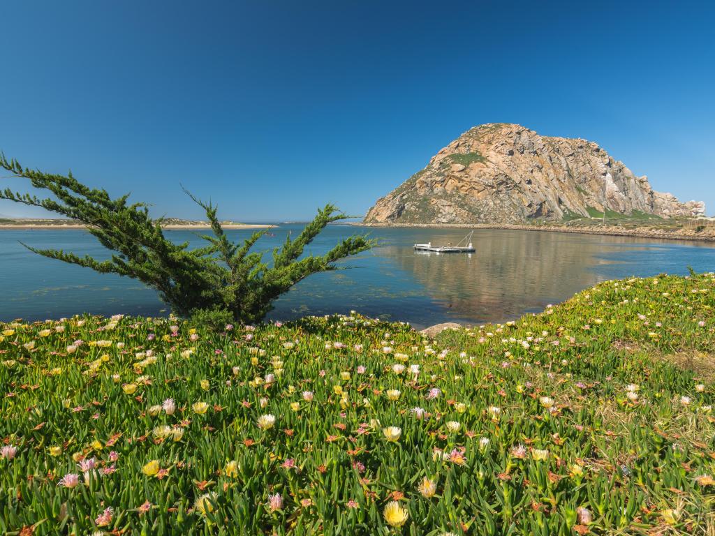 Beautiful Morro Rock, quiet water, and clear blue sky background at Morro Bay State Park