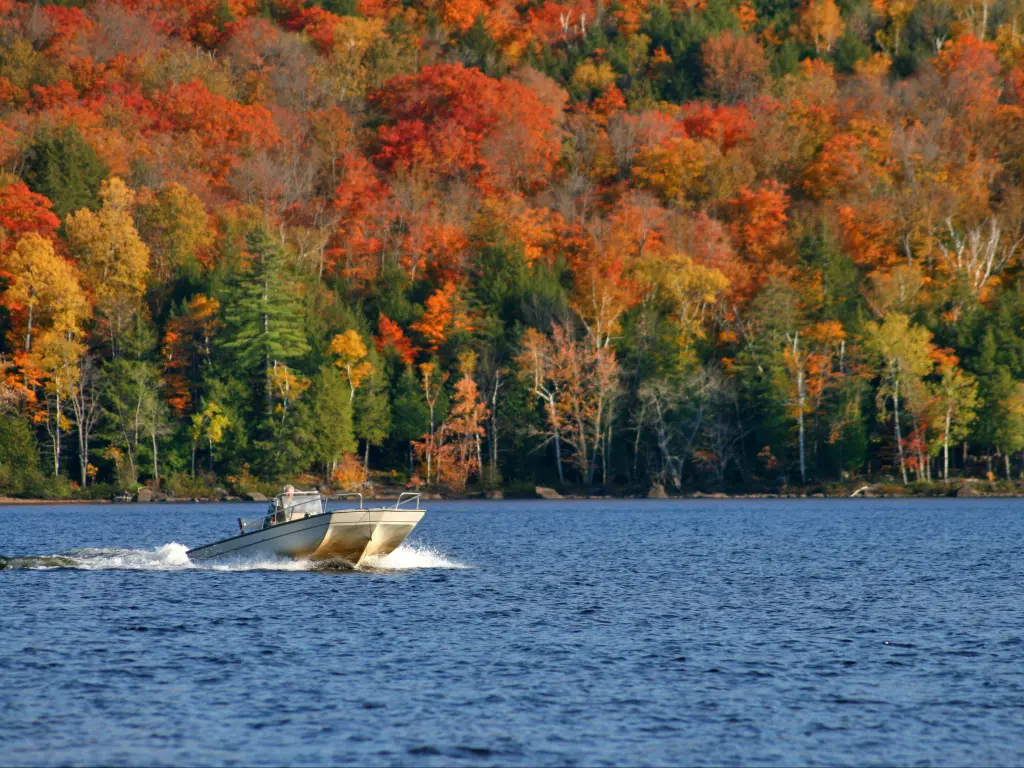 Boater passing across Schroon Lake with autumnal colors across the surrounding woodlands, New York