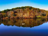 A beautiful view of a lake surrounded by autumn trees in Pittsburgh, PA