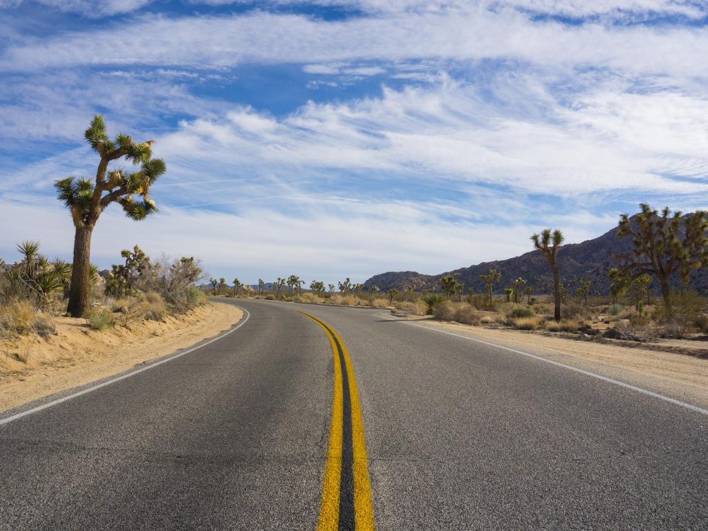 Blacktop road leads through the center of Joshua Tree National Park in southern California.