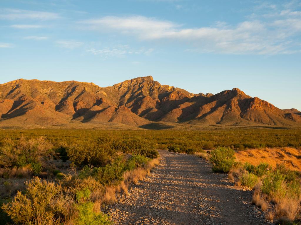 Brown rock rises up from flat ground with orange dirt and green scrubby vegetation