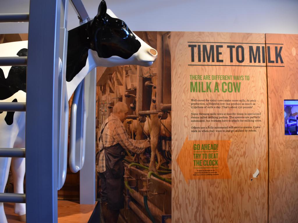 An exhibit of a model black and white cow standing at the museum at Tillamook Creamery in Oregon