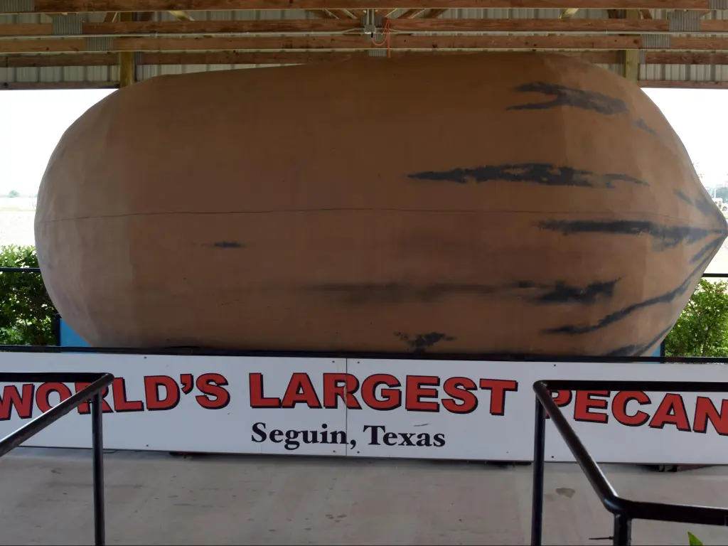 World's largest pecan statue is on display at the Texas Agricultural and Heritage Center in Seguin.