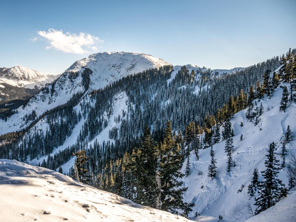 Snowy slopes on the Sangre De Cristo Mountains in New Mexico, with sun glistening through the pine trees