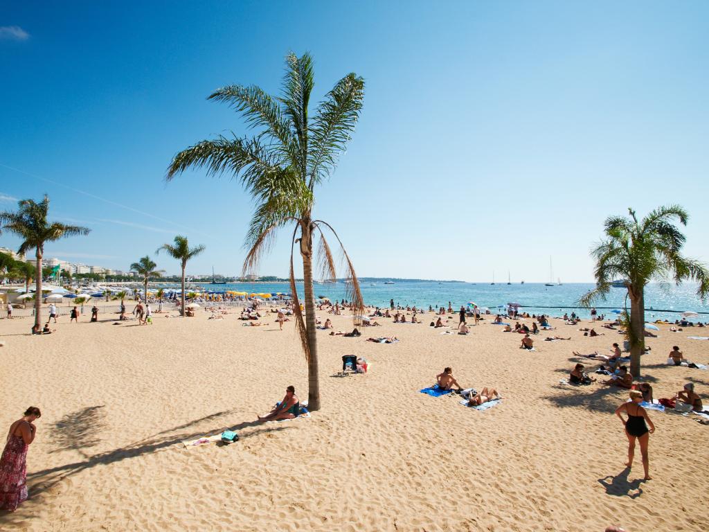 Barceloneta beach with palm trees in Barcelona