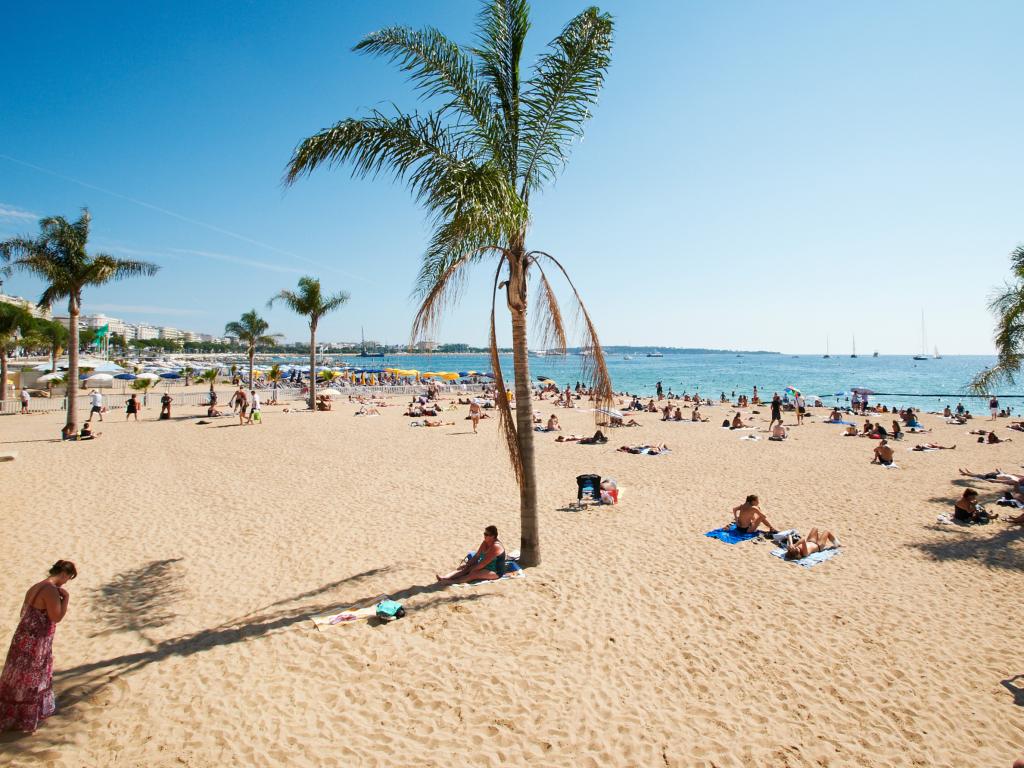 Barceloneta beach with palm trees in Barcelona