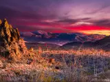 Big Bend National Park, Texas at sunset in Big Bend National Park featuring bright orange Ocotillo blooms in the foreground