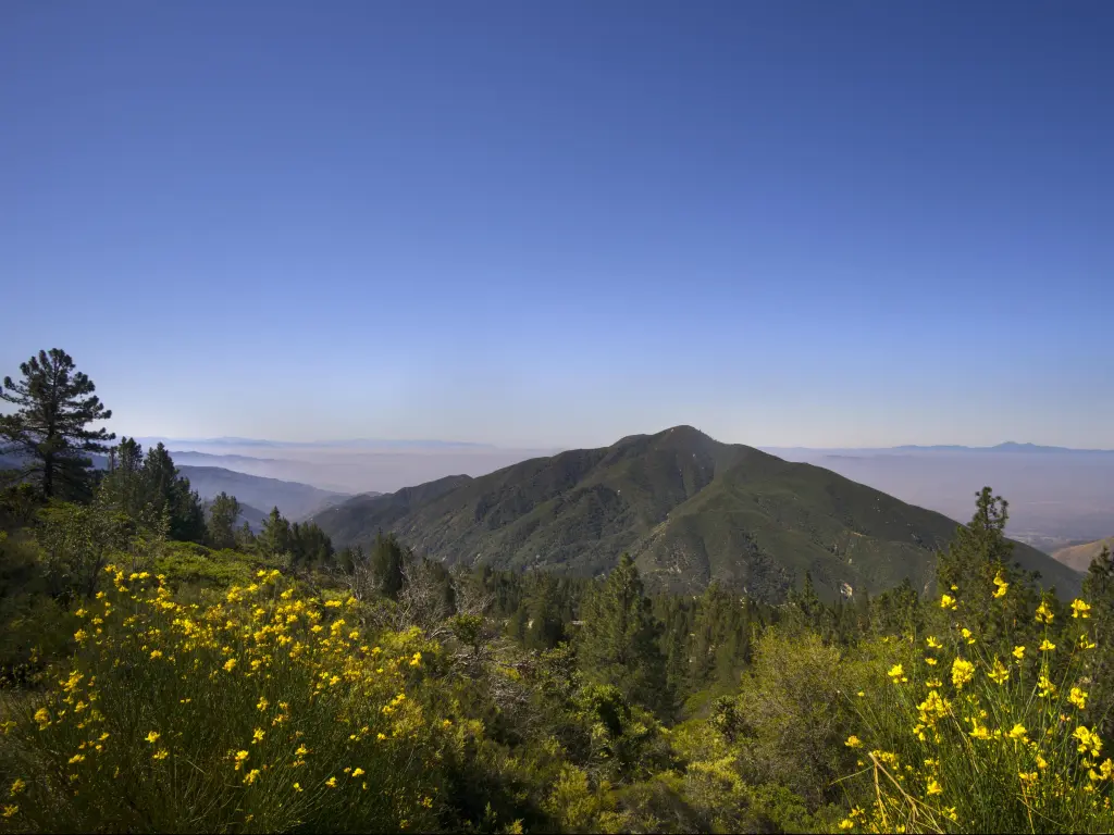 Breathtaking mountain viewpoint of San Bernadino National Forest