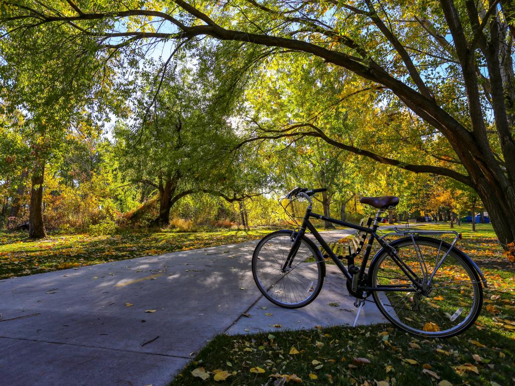 Bike alongside bench alongside Boise greenbelt biking path in downtown Boise, surrounded by lush trees and grassland