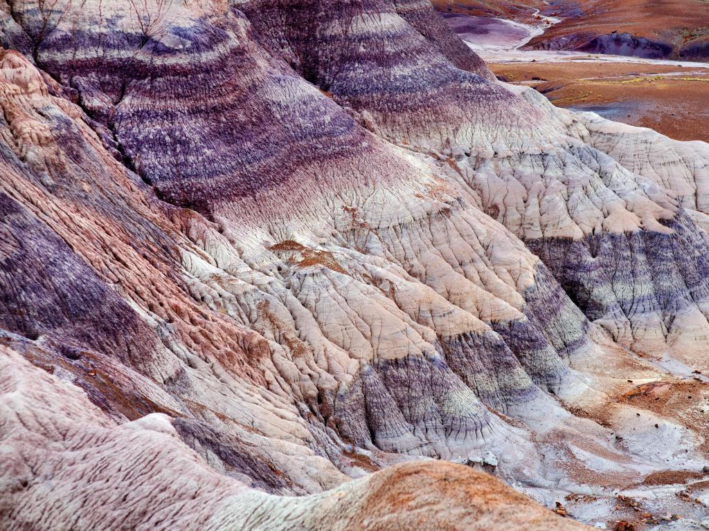 Petrified Forest National Park, Arizona, USA with a view of the striped purple sandstone formations of Blue Mesa badlands.
