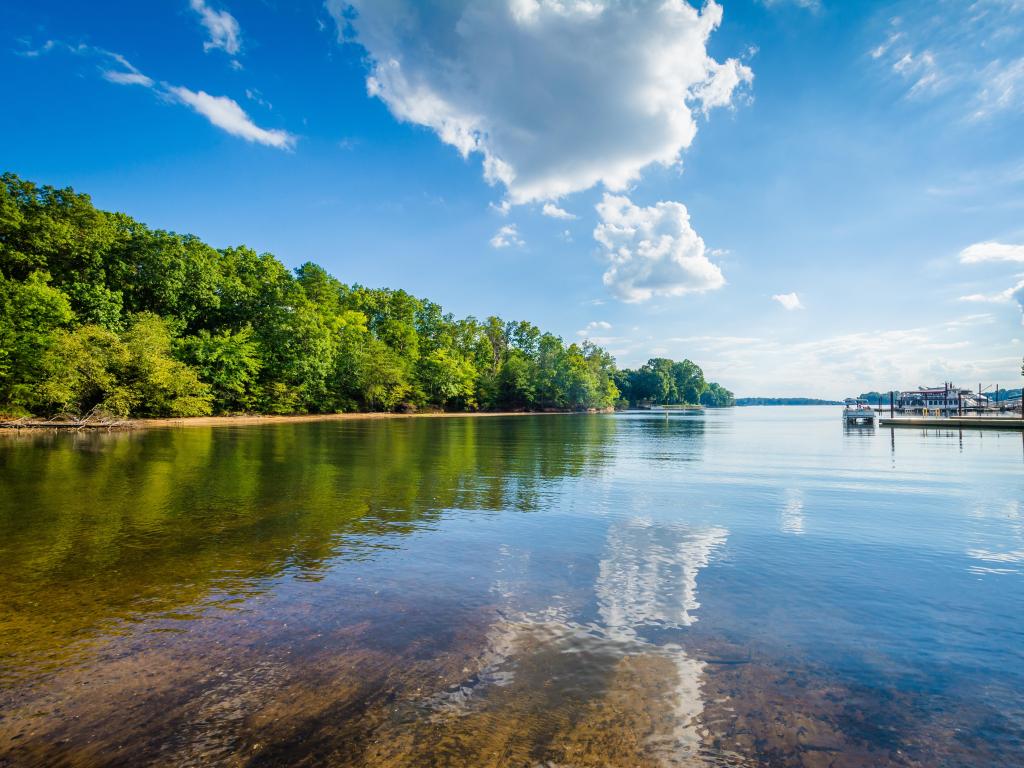 Lake Norman, North Carolina, USA taken on a sunny day with a blue sky, the water in the foreground reflecting the clouds and the shoreline lined by trees.