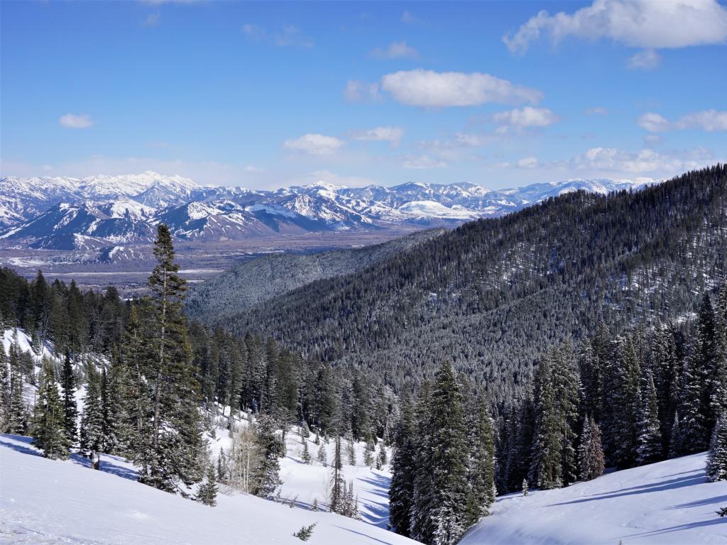 Caribou -Targhee National Forest, USA with snow covered Blue Mountains and Pine Trees on a clear sunny day.