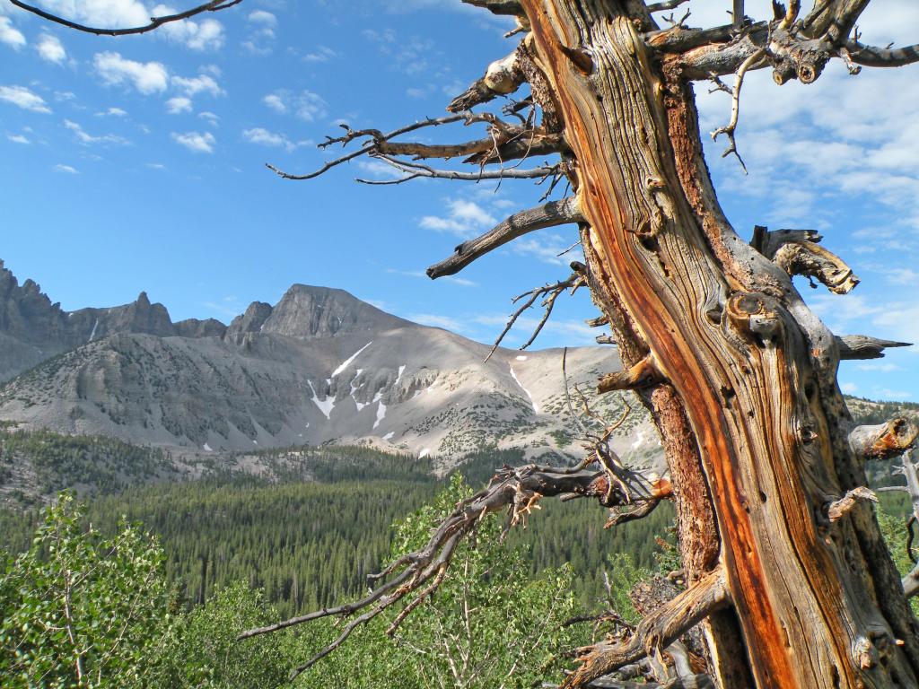 Wheeler Peak in Great Basin National Park