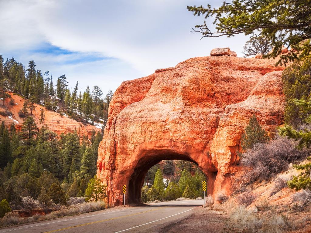 A tunnel cut into the rock for the road passing through Red Canyon, a shallow valley surrounded by much exposed, orange red limestone and also part of Dixie National Forest, Utah, USA.