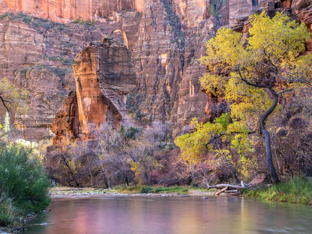 Sinawava Temple, Zion National Park, Utah, USA with cliffs, trees and a river in view.