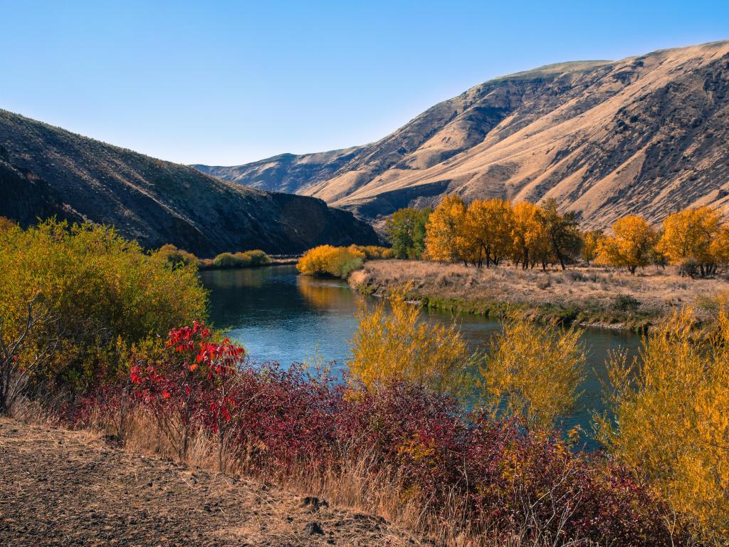 Yakima Canyon and river in fall season. Blue sky reflects in water. Red, yellow and orange colors of foliage on both riverbanks