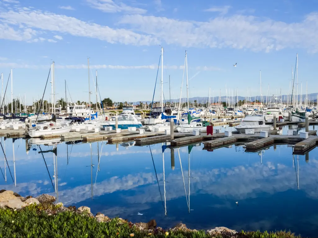 Boats docked in the Oxnard Marina, California