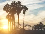 Santa Monica, California, USA with a view of the pier with palms silhouettes at sunset.