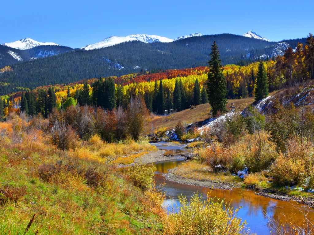 Gunnison National Forest in the fall.