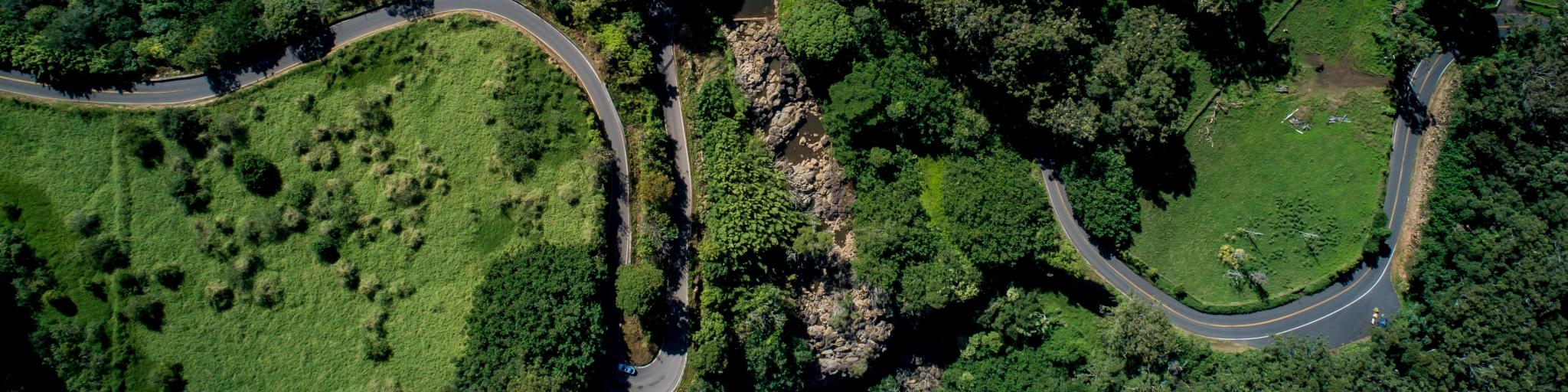 Aerial shots of Road to Hana weaving through the bamboo forest, on Maui, Hawaii