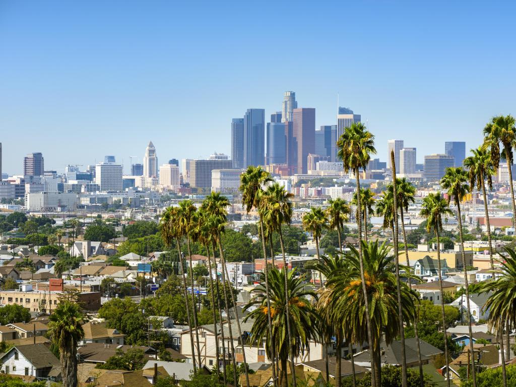 Los Angeles, California, USA with the downtown skyline in the distance and palm trees in the foreground taken on a sunny day.