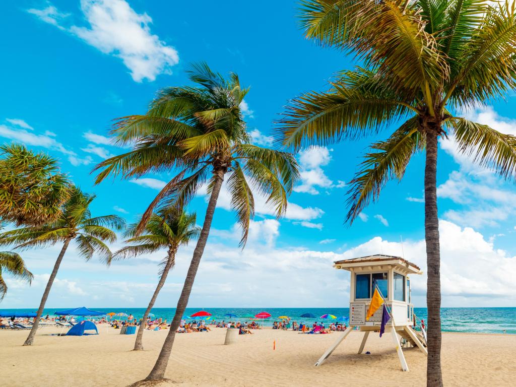 Fort Lauderdale, Florida, USA with golden sand and coconut palm trees in Fort Lauderdale shore taken on a clear sunny day.