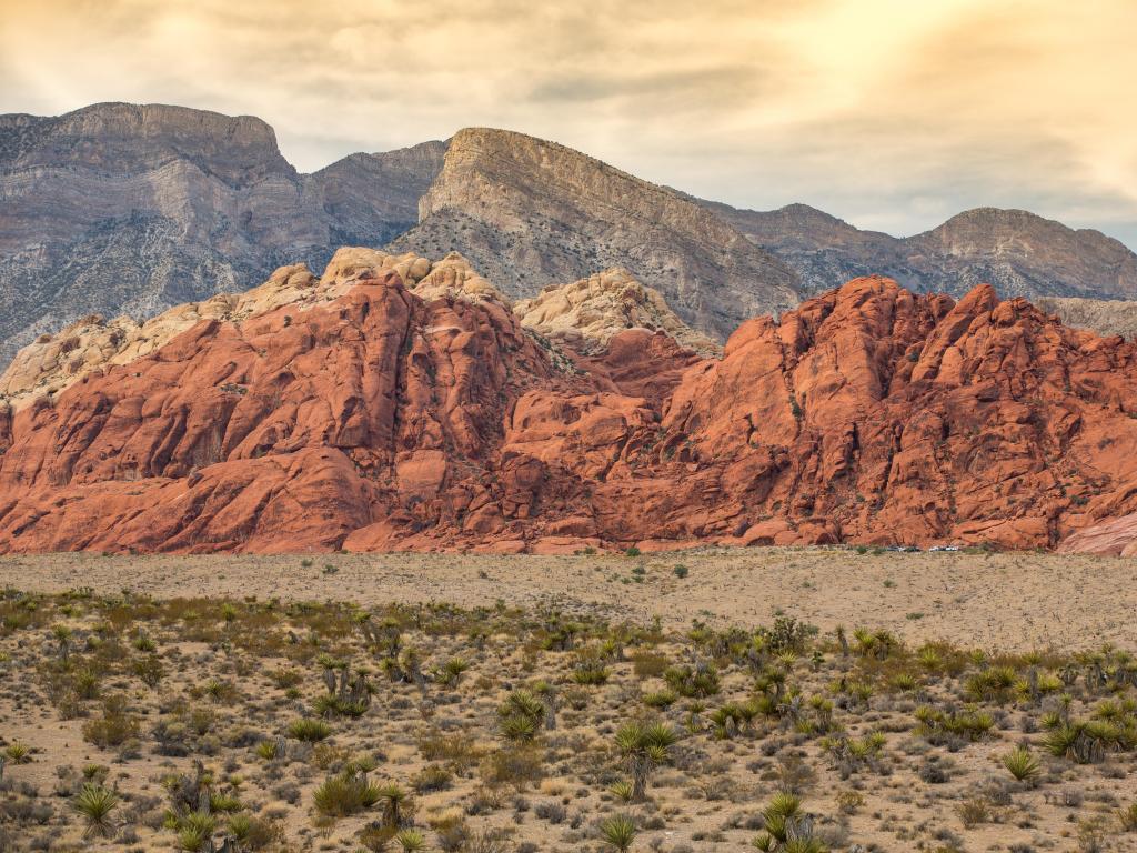 Red Rock Canyon National Conservation Area, Las Vegas, Nevada, USA with red rocks in the desert taken at early sunset.