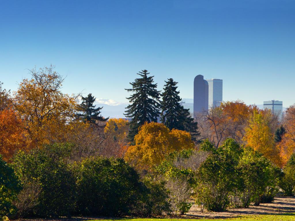 Denver's skyline seen through the orange and yellow-hued trees of City Park in the Fall