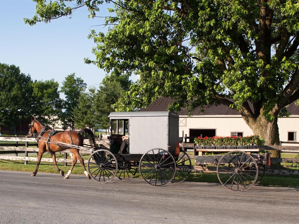 An Amish carriage pulling a cart filled with flower plants in rural Lancaster County,Pennsylvania.