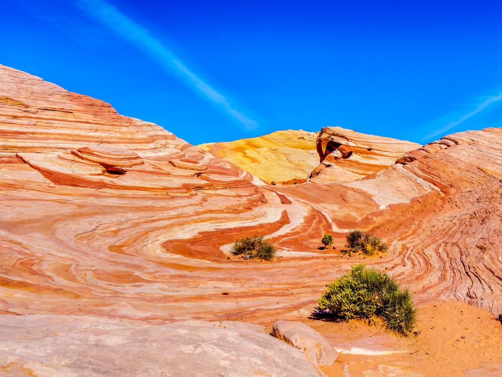 Valley of Fire State Park in Nevada, USA with the colorful red, yellow and white banded rock formations of the Fire Wave Rock on the Fire Wave Trail in the Valley of Fire State Park on a clear sunny day.