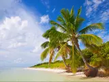Summer at a tropical paradise in Florida Keys, USA with palm trees, blue sky, clouds and crystal clear water of Atlantic Ocean