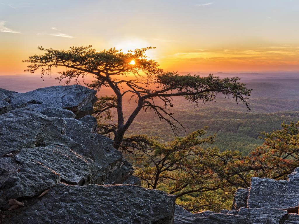 Cheaha State Park, Talladega National Forest, Alabama, USA taken at sunset with a rock and tree in the foreground and woodland in the distance.