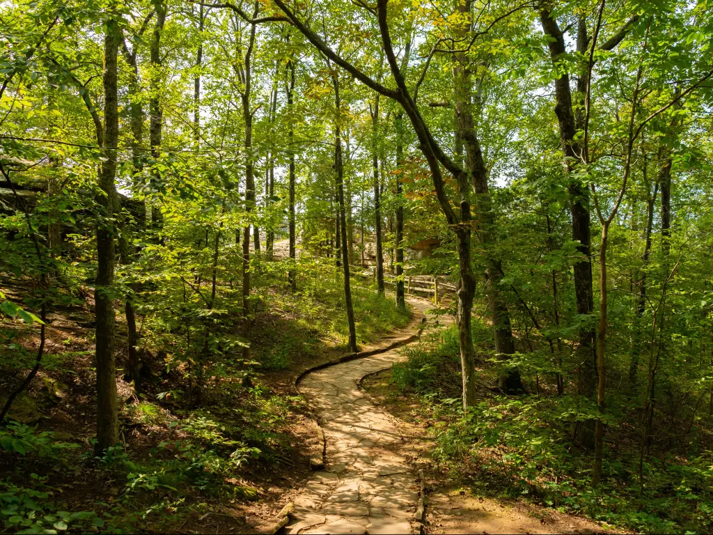 Hiking trail leading to the Garden of the Gods overlooks at Shawnee National Forest, Illinois, USA.