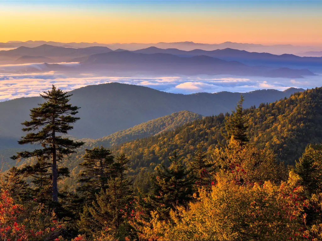 View of the Clingman's Dome in the Great Smoky Mountains National Park