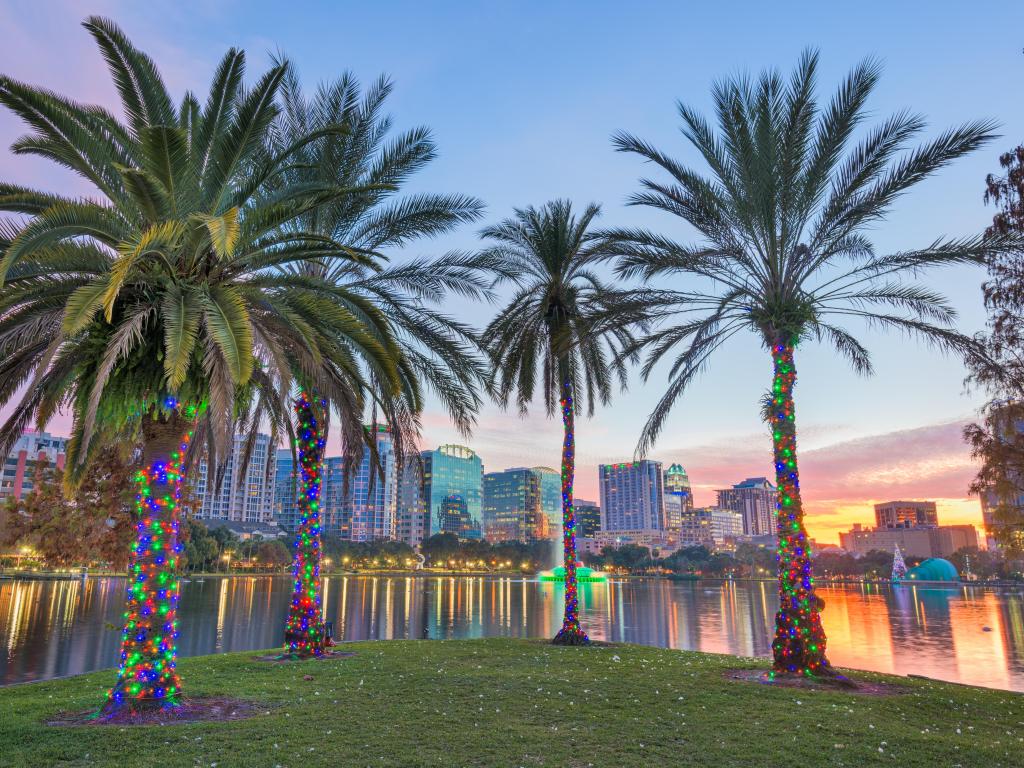 View of Orlando skyline with holiday decorations on palm trees at sunset