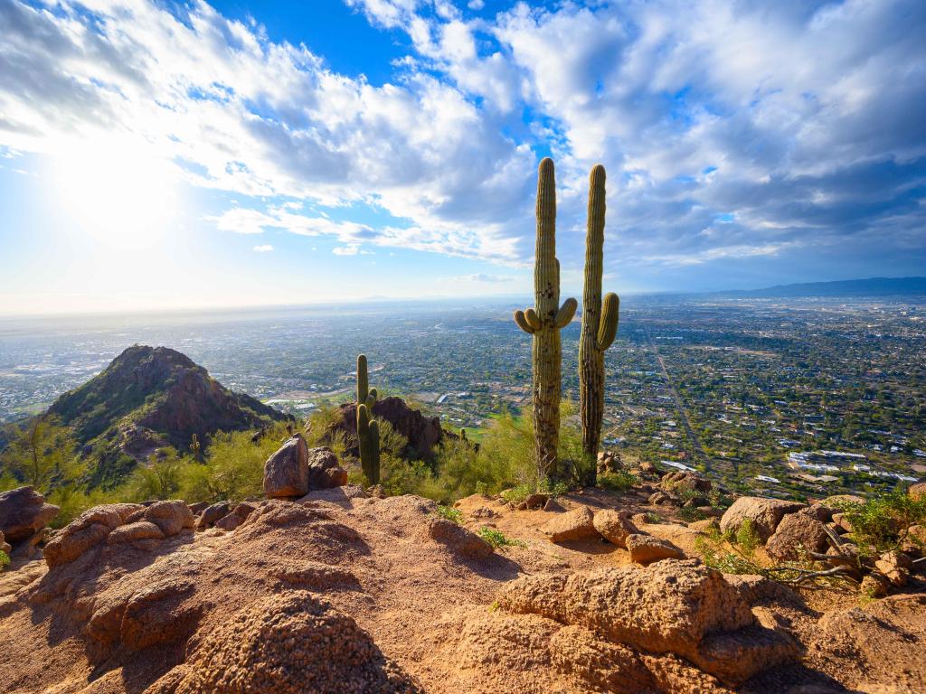 View from hiking on Camelback Mountain, at sunrise in the Phoenix area of Arizona, with cacti in the foreground and a blue sky with light clouds above