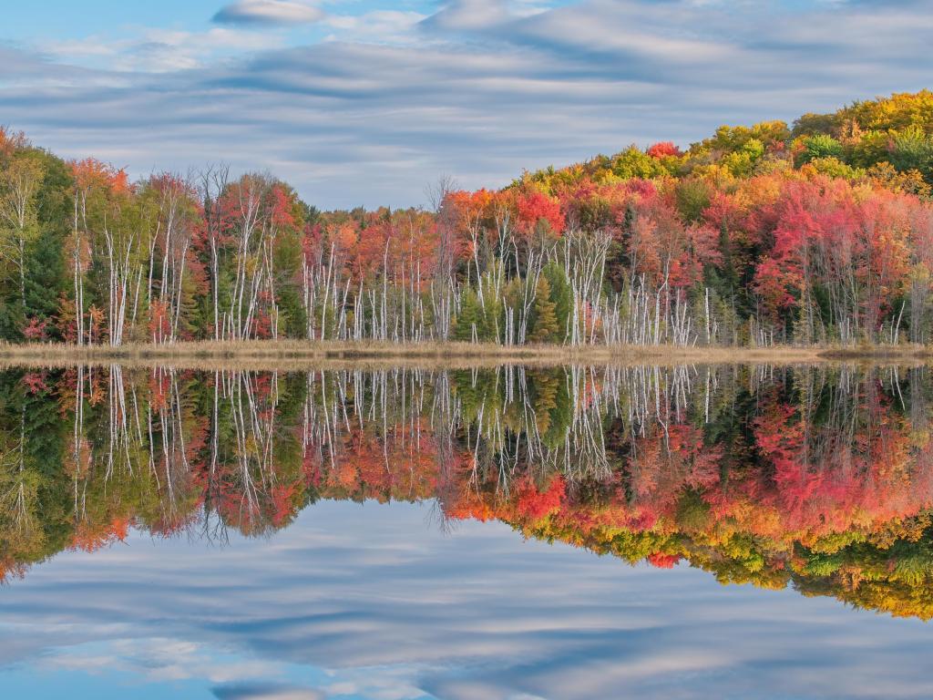 Autumn landscape of Council Lake with reflections of trees and clouds in calm water, Hiawatha National Forest, Michigan's Upper Peninsula, USA