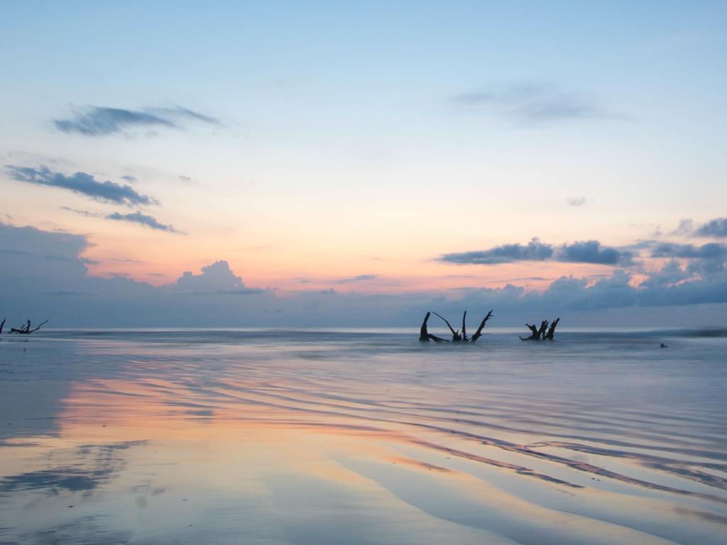 Bulls Island coastal view, South Carolina near McClellanville